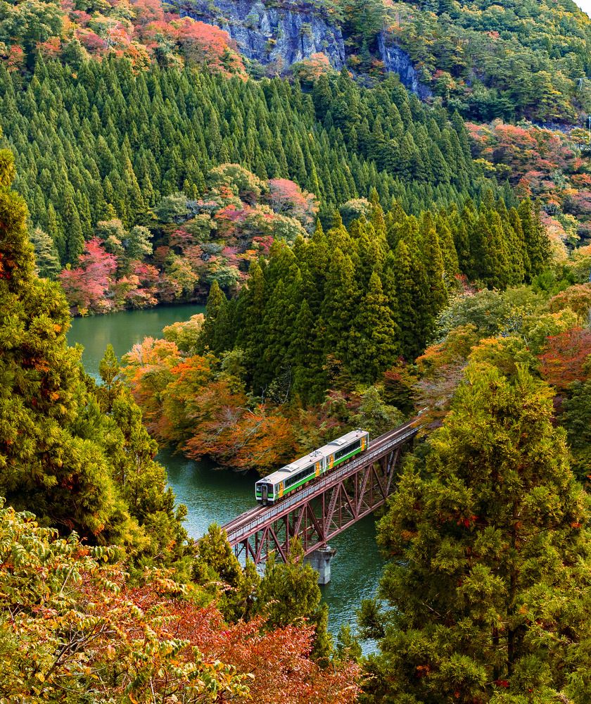 Photograph by ĐÌNH KHÁNH ĐẶNG