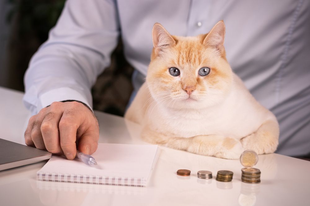 Фотография автора Анна Листишенко