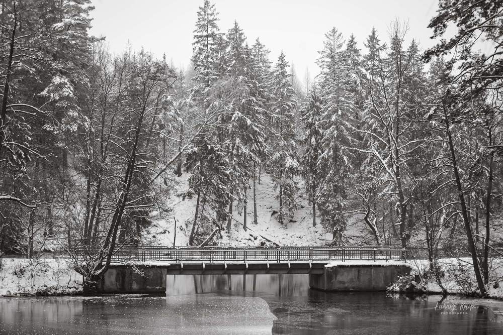 Фотография автора Łukasz Knop