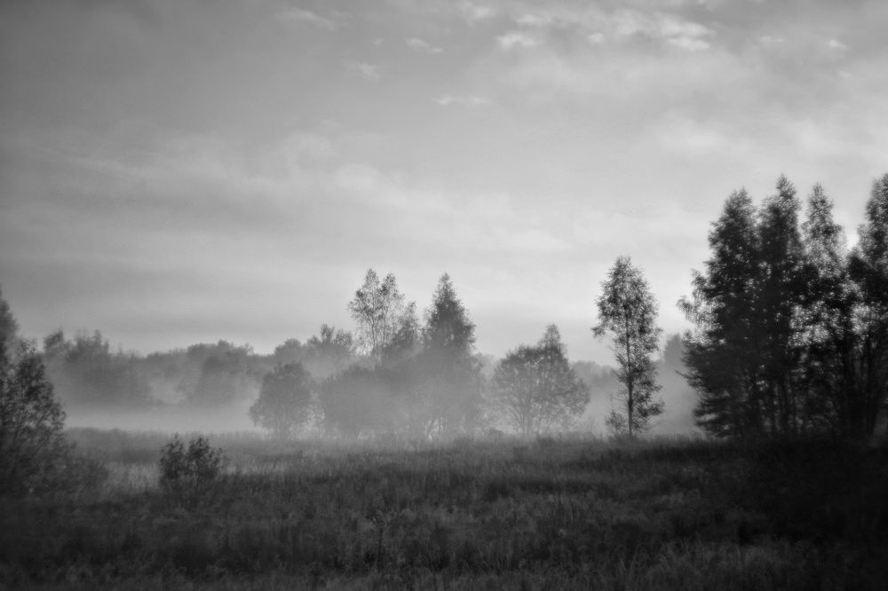 Photograph by Инна Карасева