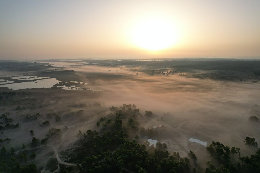 Photograph by Plamen Nikolov