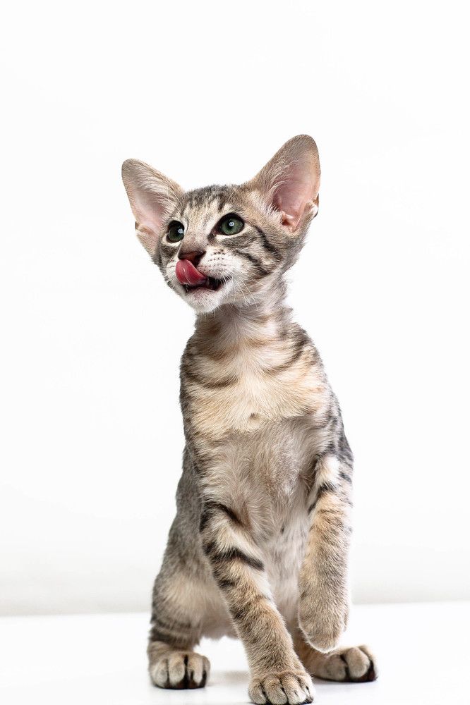 Photograph by игорь к