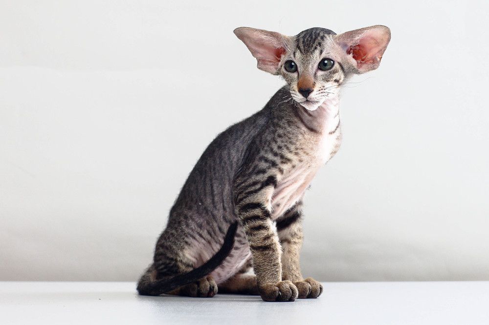 Photograph by игорь к