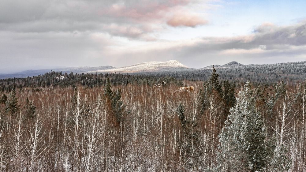 Photograph by Наталья Лапцевич