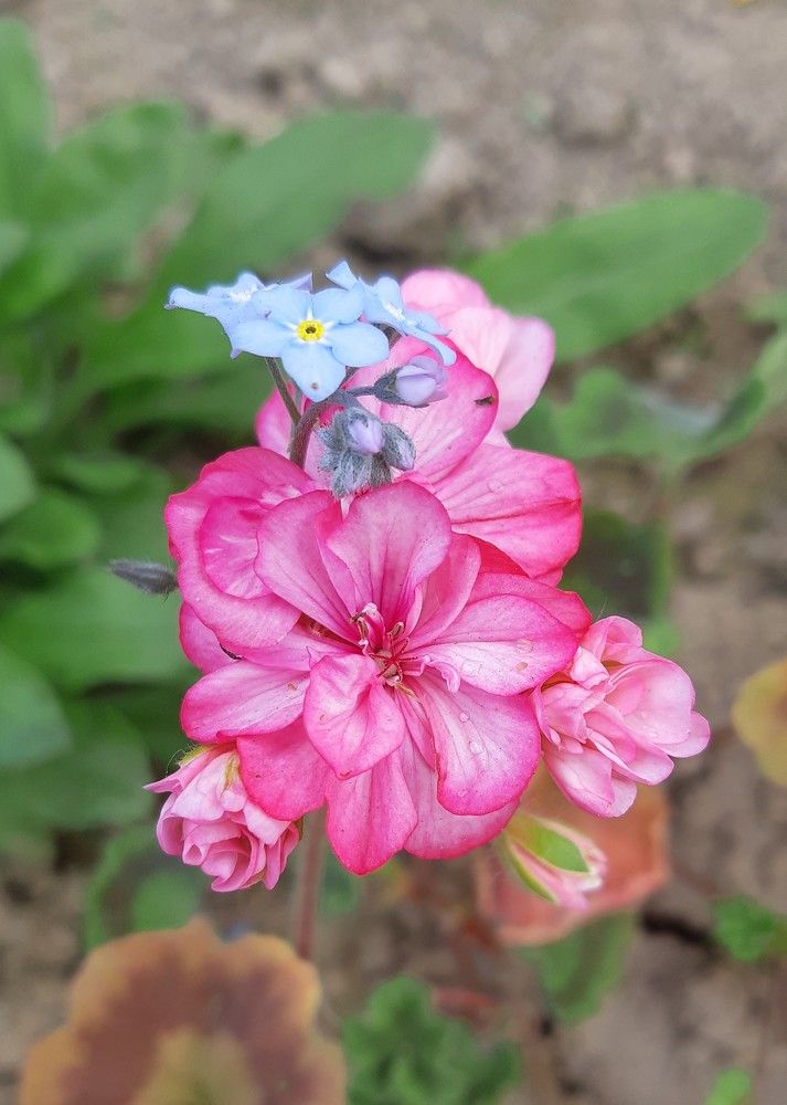 Фотография автора Ирина Лукьянчик