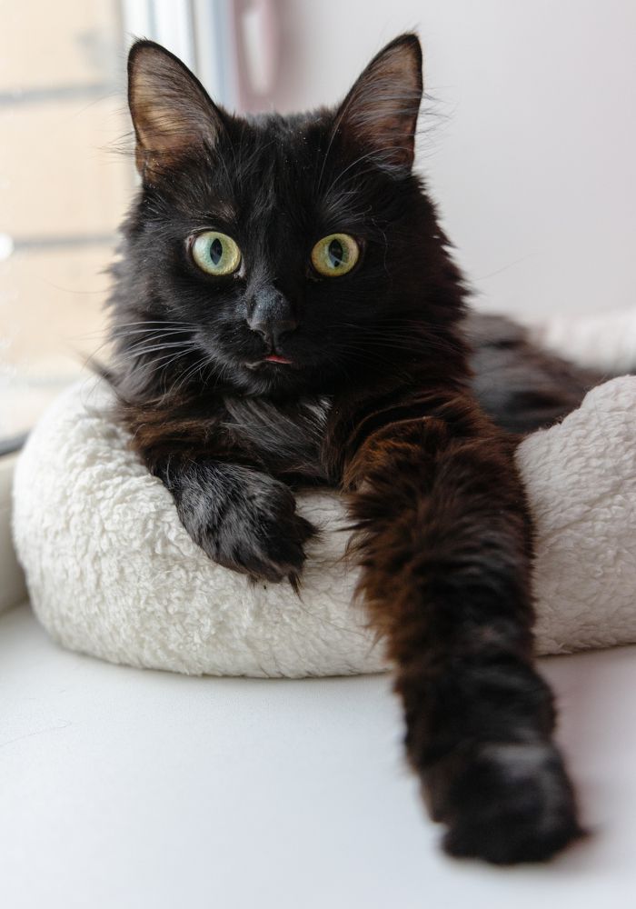 Photograph by Анна Бокова