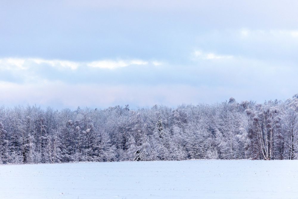 Photograph by Игорь Сапронов