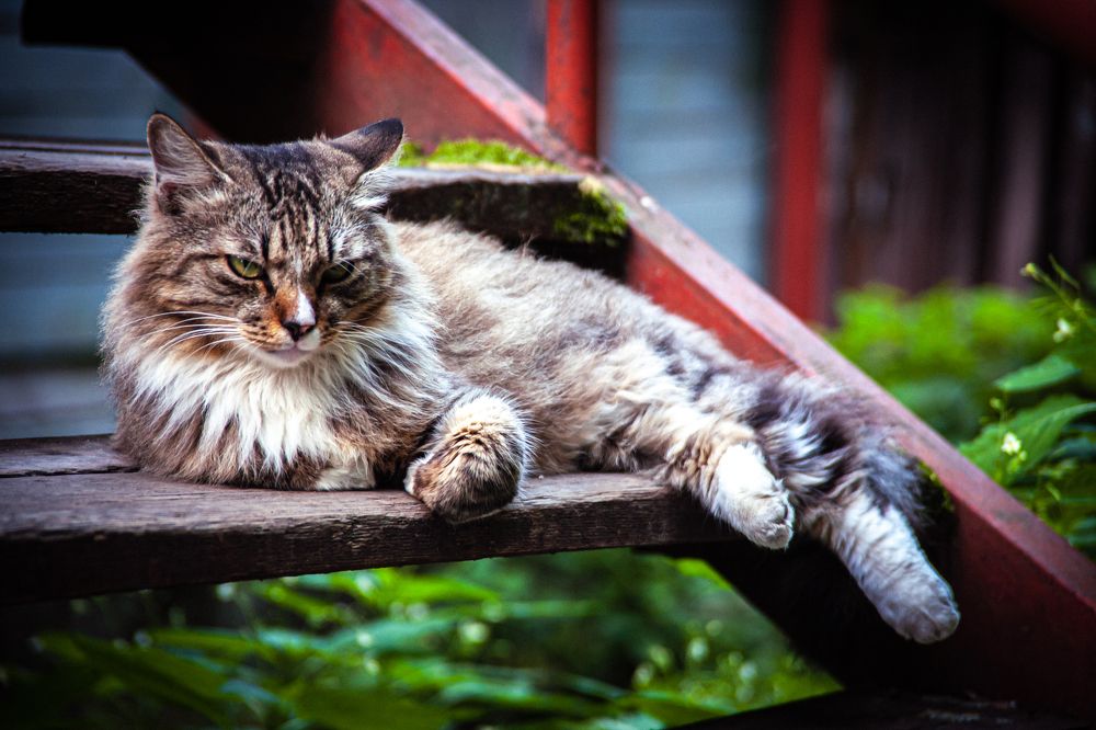 Photograph by Саша Литвин