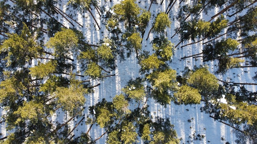 Фотография автора Михаил Кузнецов