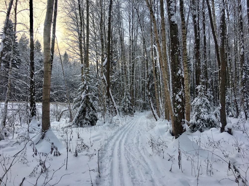 Фотография автора Ольга Горюнова