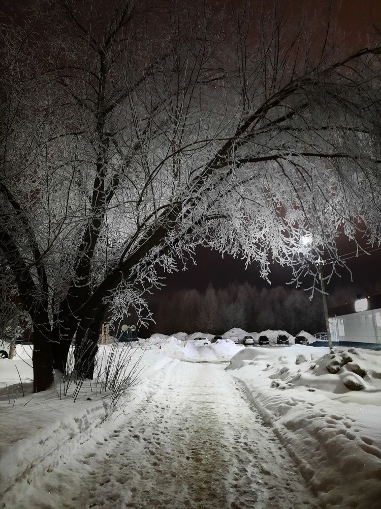 Фотография автора Ольга Кунакова