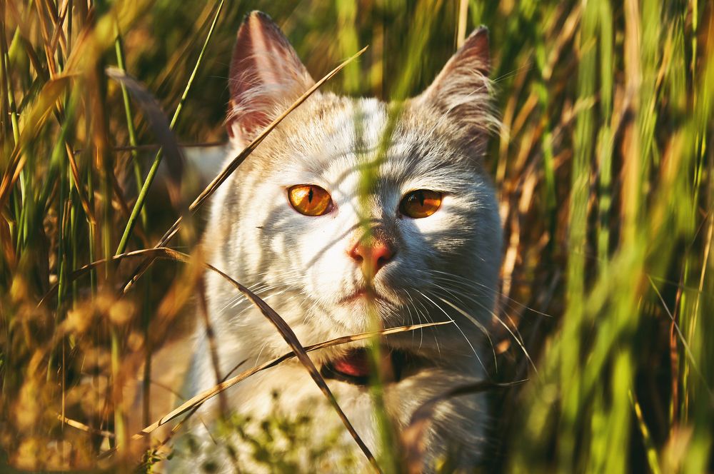 Photograph by Кристина Присакарь