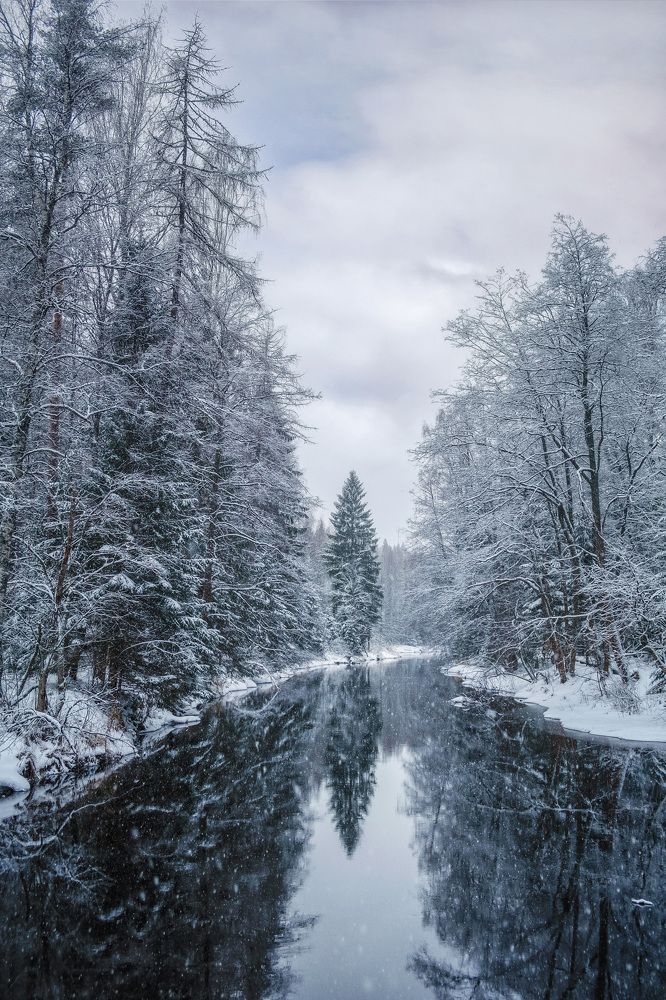 Photograph by Алексей Чуднов