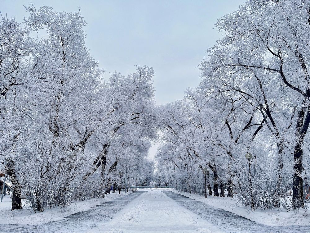 Photograph by Алена Шаргина