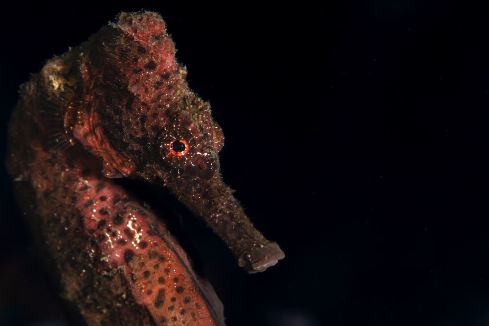 Photograph by Santiago Estrada R