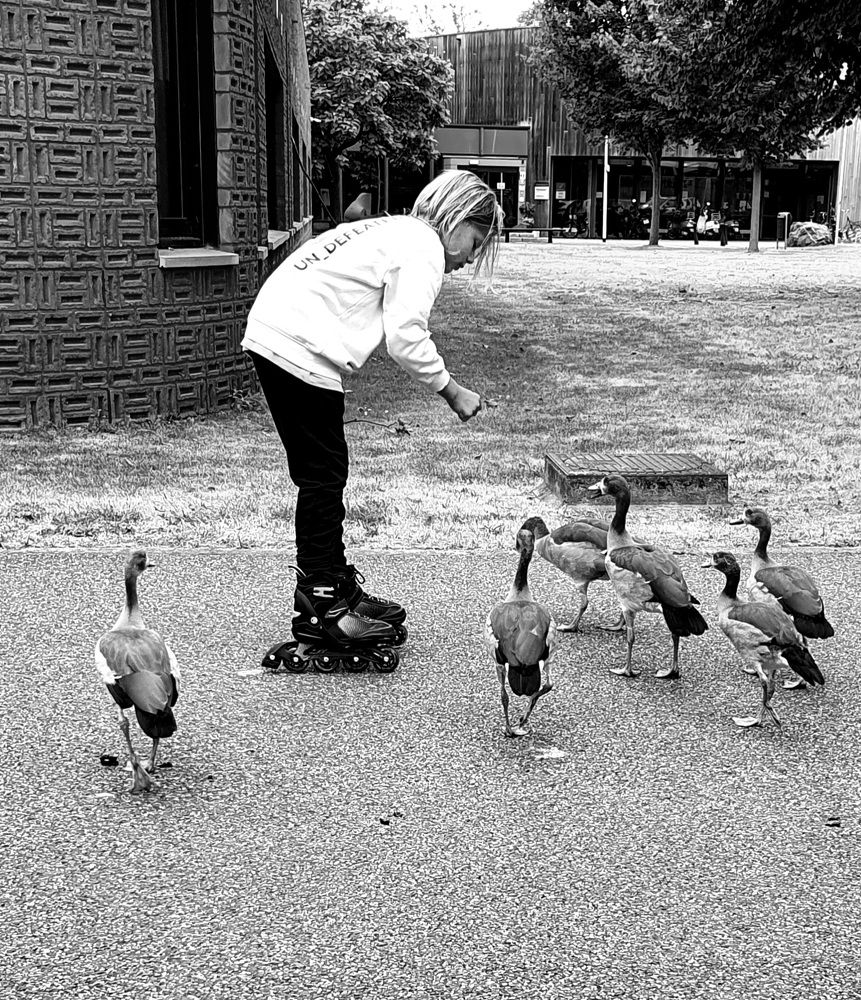 Photograph by Ghazal Ardeshirzadeh