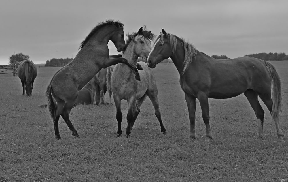 Фотография автора Юрий Кетель