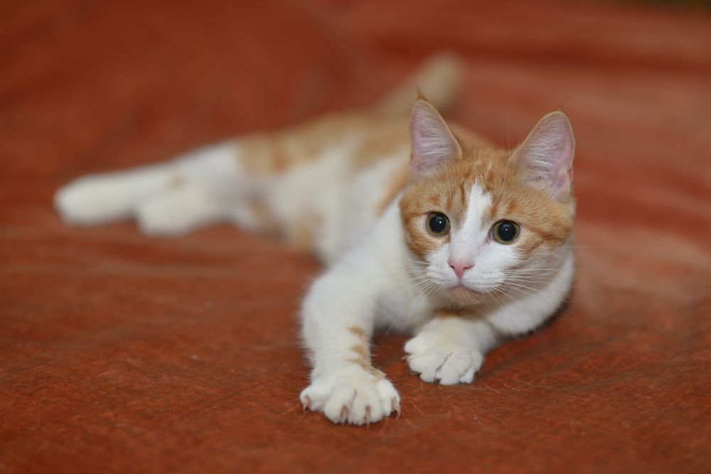 Photograph by Максим Мицун