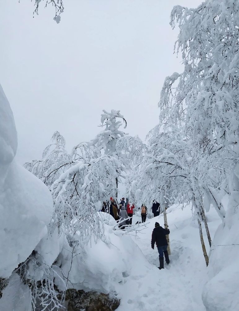 Photograph by Надежда
