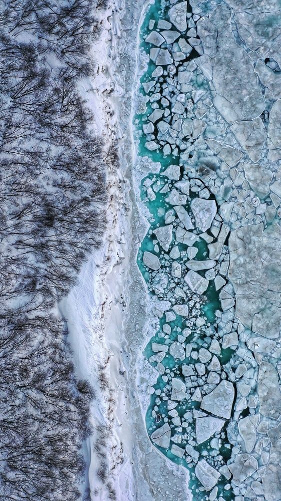 Зимняя мозайка