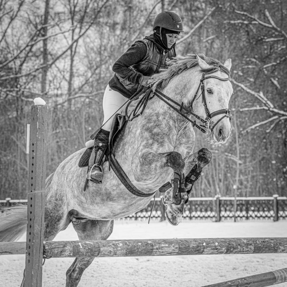 Фотография автора NIKOLAY KALININ