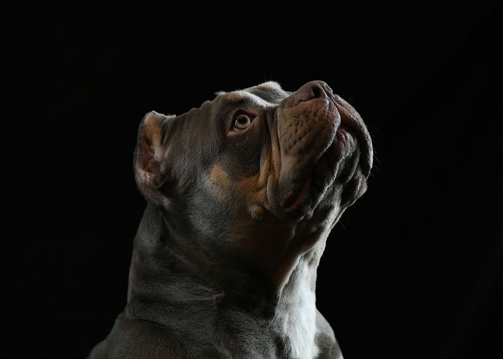 Photograph by Дарья Лисицына