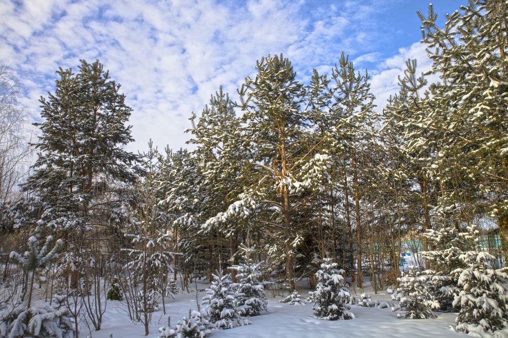 Photograph by Валерий Богачев