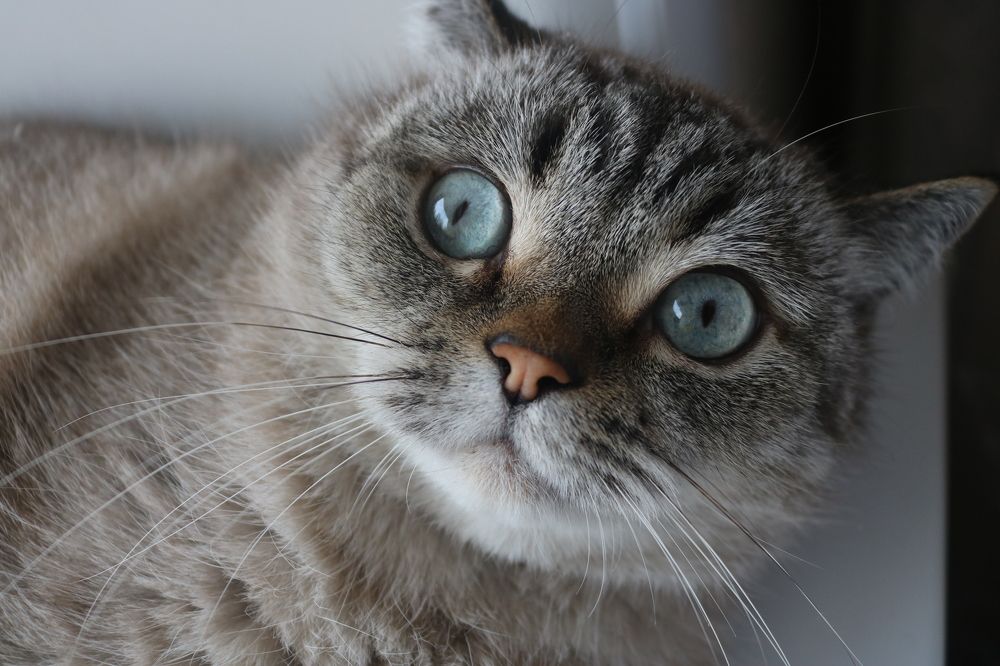 Photograph by Наталья Клячина