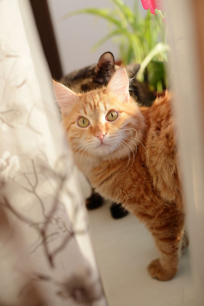 Photograph by Anastasiya Buller