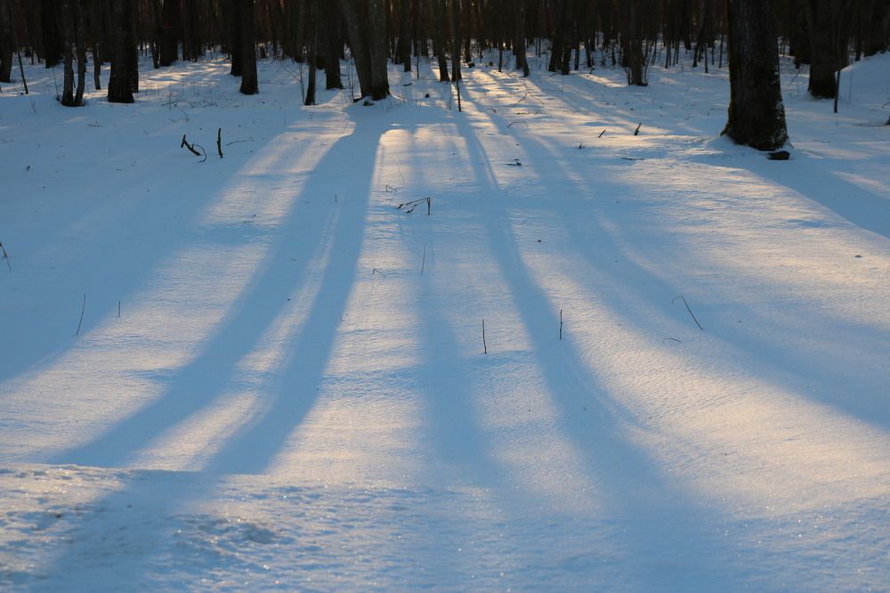 Photograph by Наталья Клячина