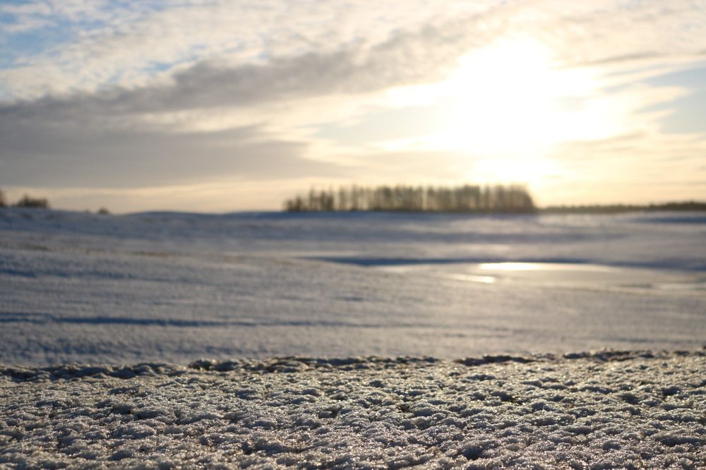 Photograph by Наталья Клячина