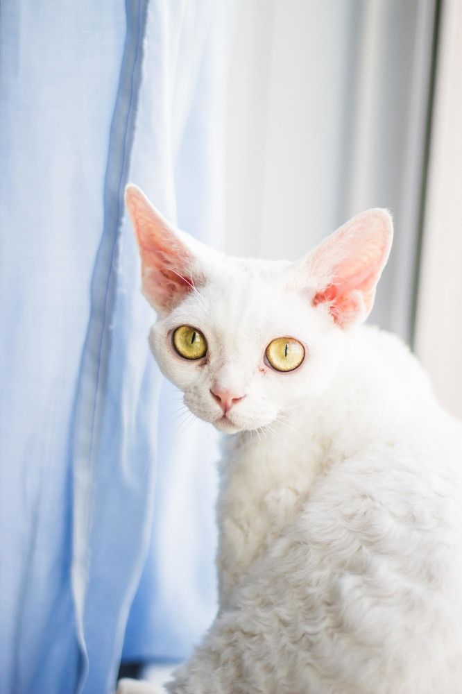 Photograph by Доляна Ашкова