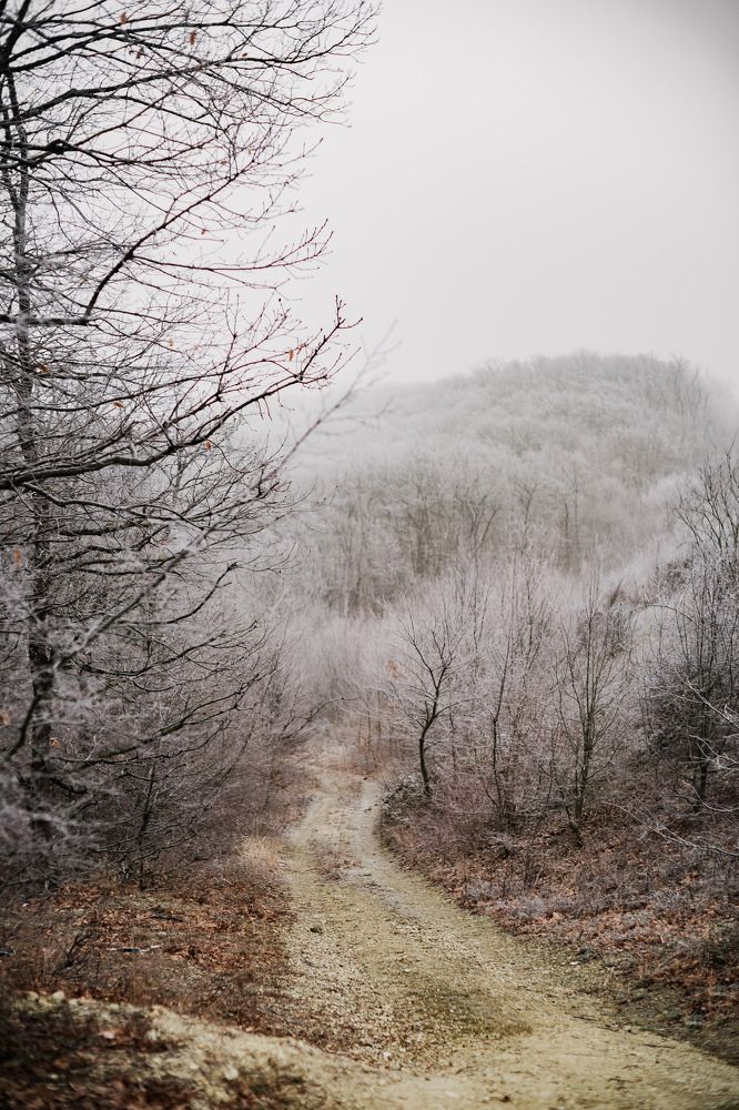 Photograph by Филипп Бабенко