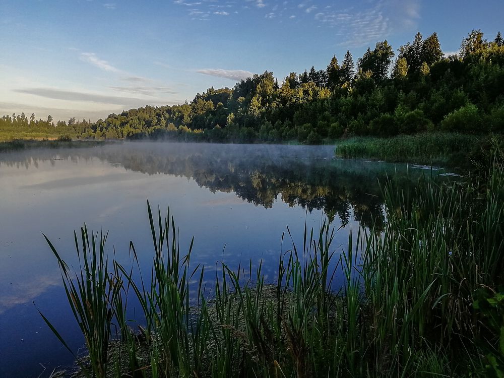 Туманное утро