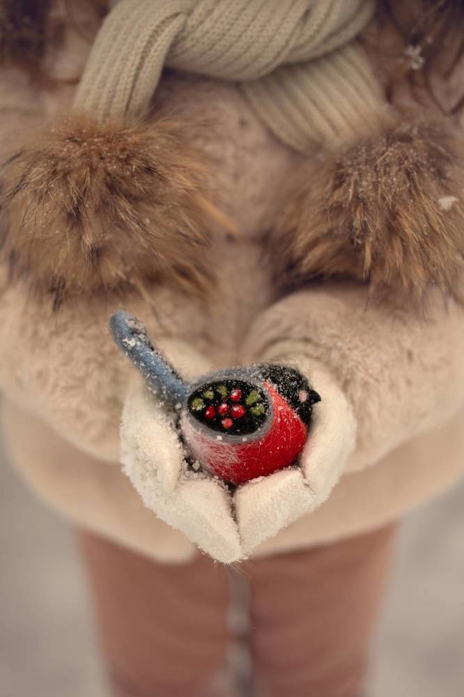 Друг Снегирь