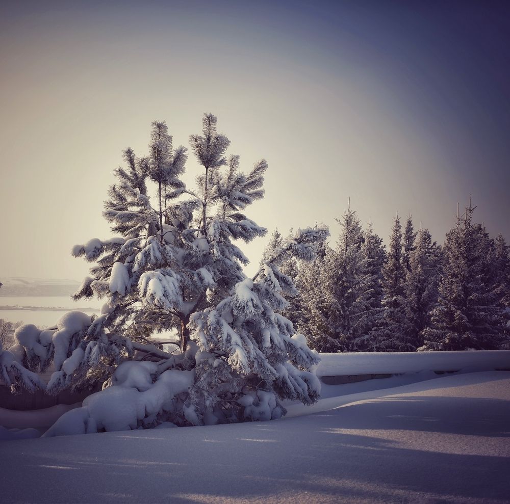 Photograph by Кира Бахвалова