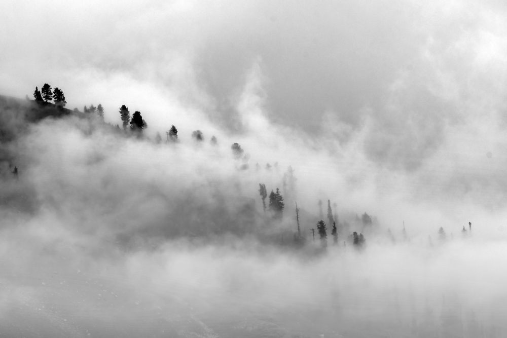 Photograph by Zaheer Abbas