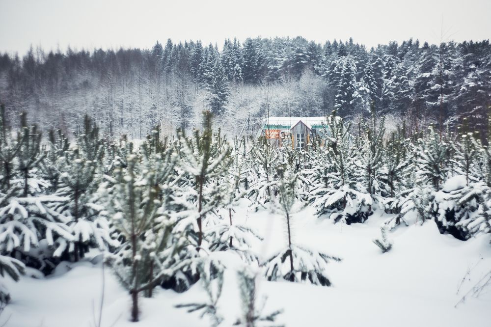 Photograph by Катерина Кет