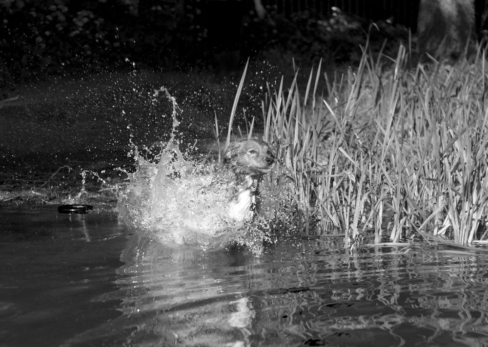 Photograph by Елена Иванова