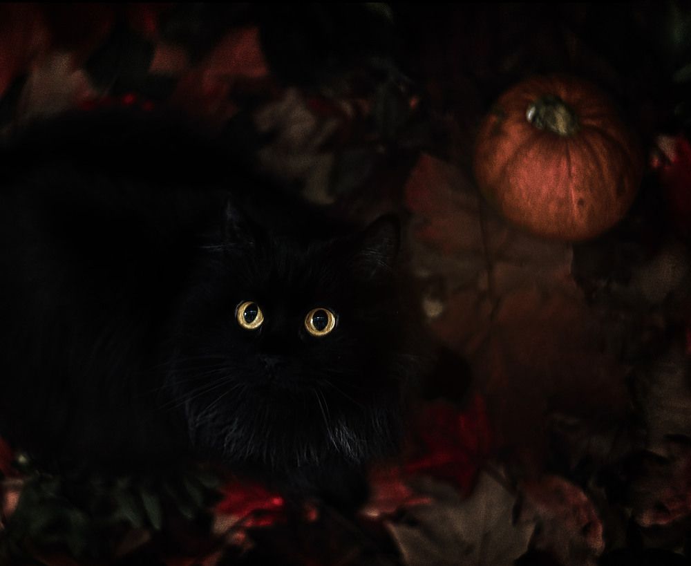 Photograph by Щербакова Юлия