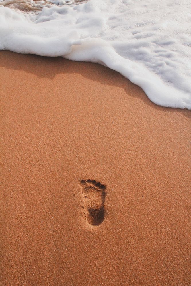 The Footprint