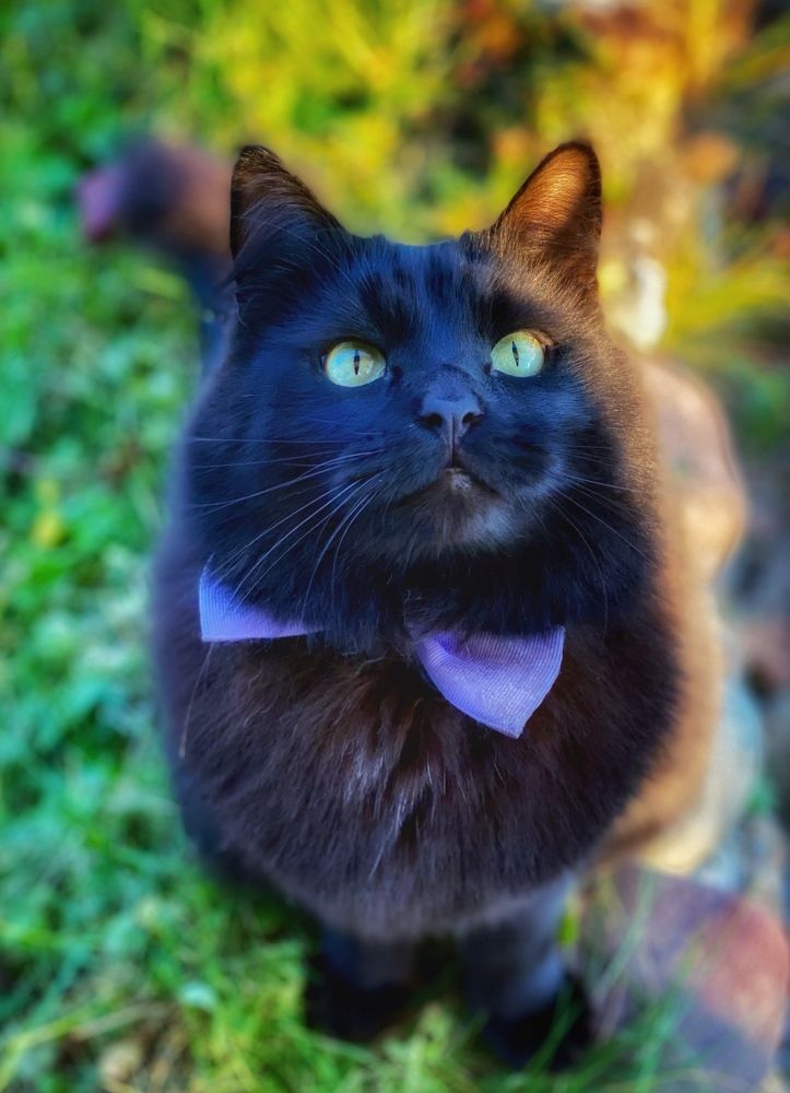 Фотография автора Евгения Иванова