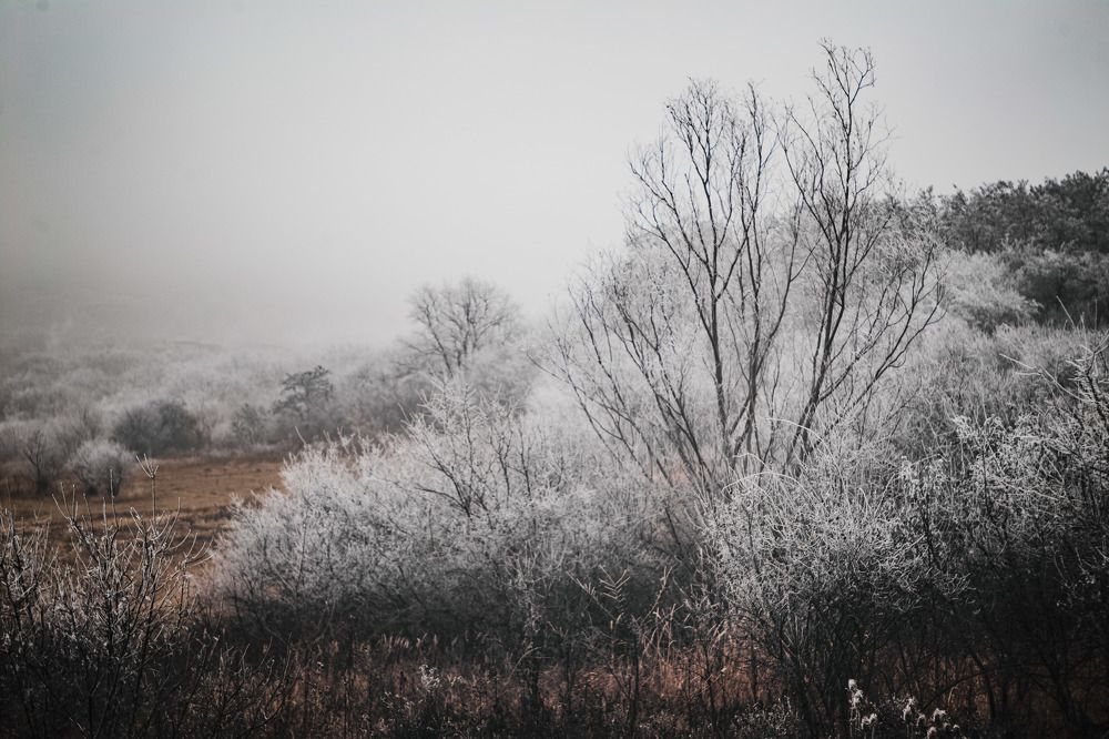 Photograph by Филипп Бабенко