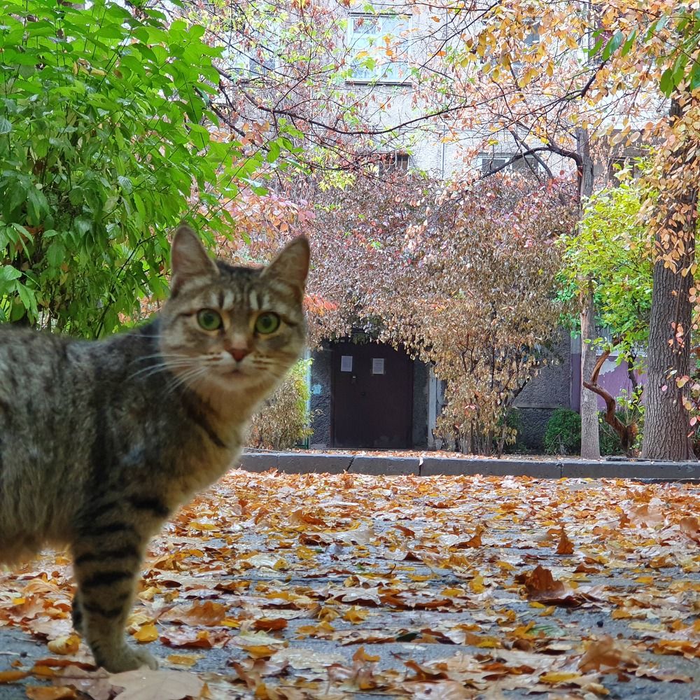 Photograph by Валентина Галич