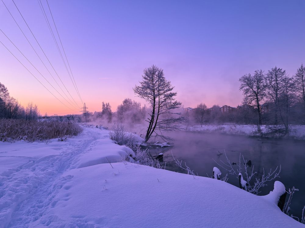 Фиолетовая дымка / Purple haze