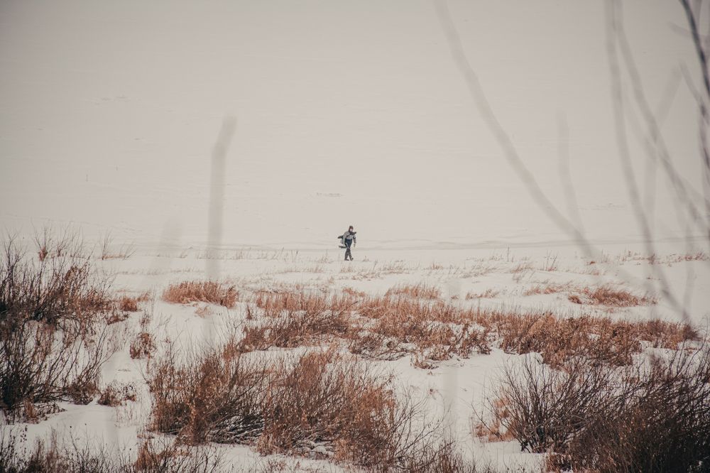 Photograph by Николай Головко