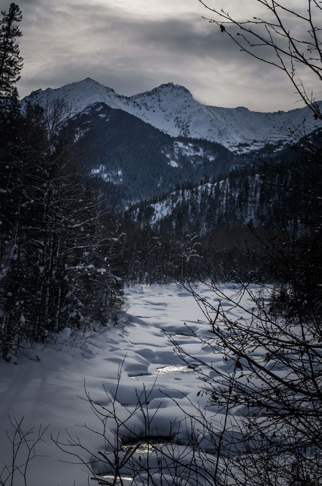 Photograph by Евгений Крюков