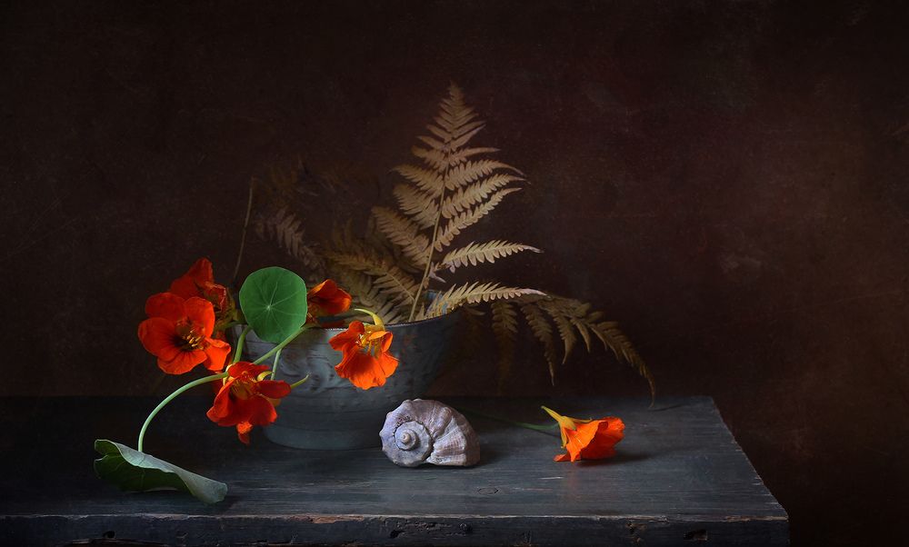 Photograph by Курочкина Диана