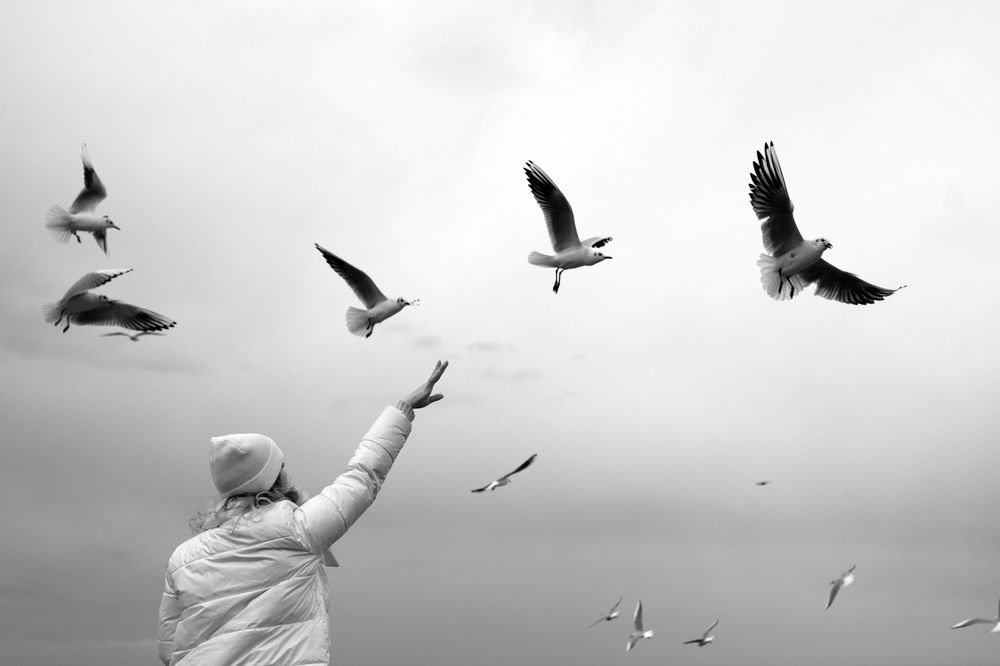 Photograph by Степан Чудаков