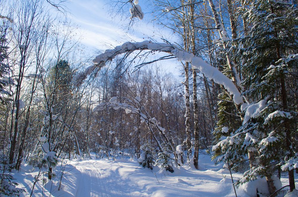 Photograph by Евгений Крюков